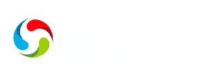 SKYWIND 로고